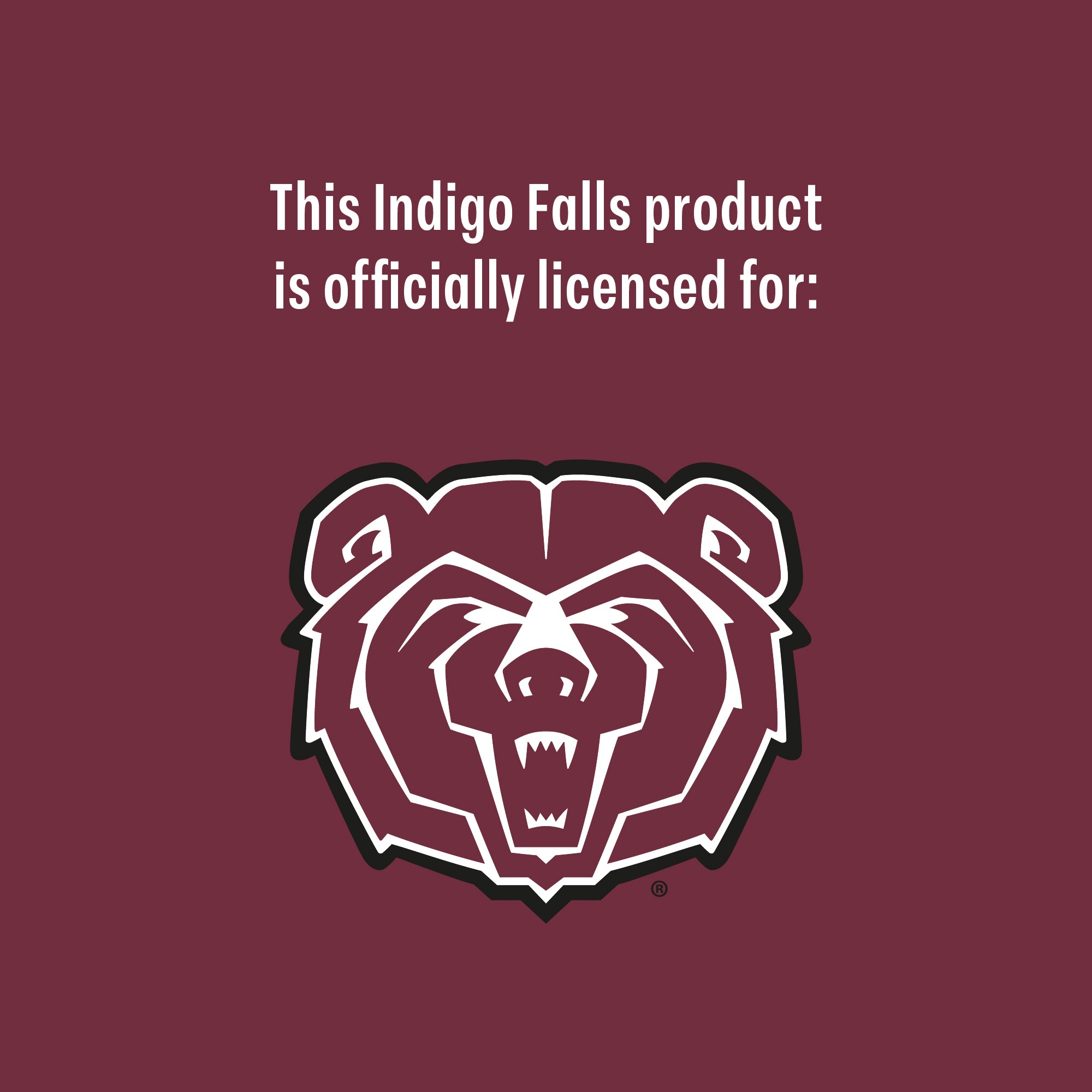 Set of 2 Missouri State Bears 14oz Alumni Rocks Glasses