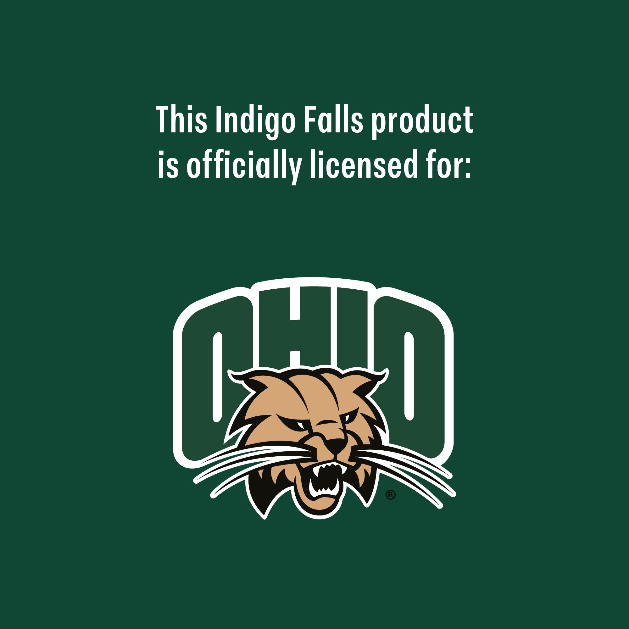 Set of 2 Ohio Bobcats 14oz Ring Rocks Glasses