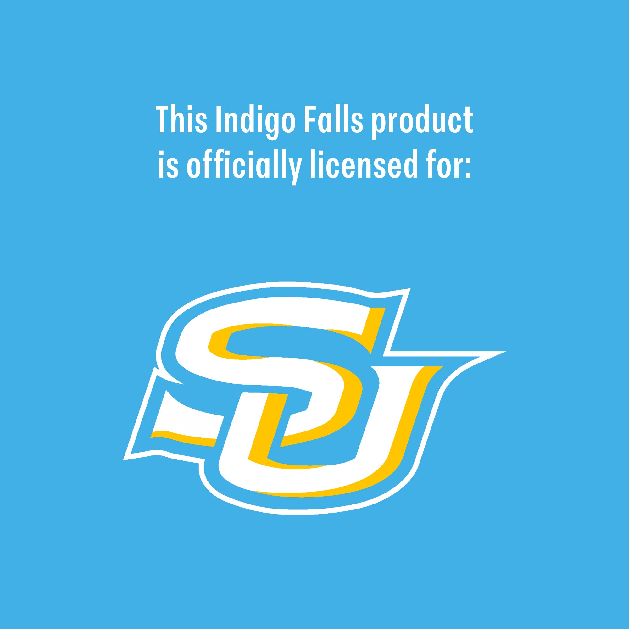 Set of 2 Southern A&M Jaguars 14oz BHM Rocks Glasses