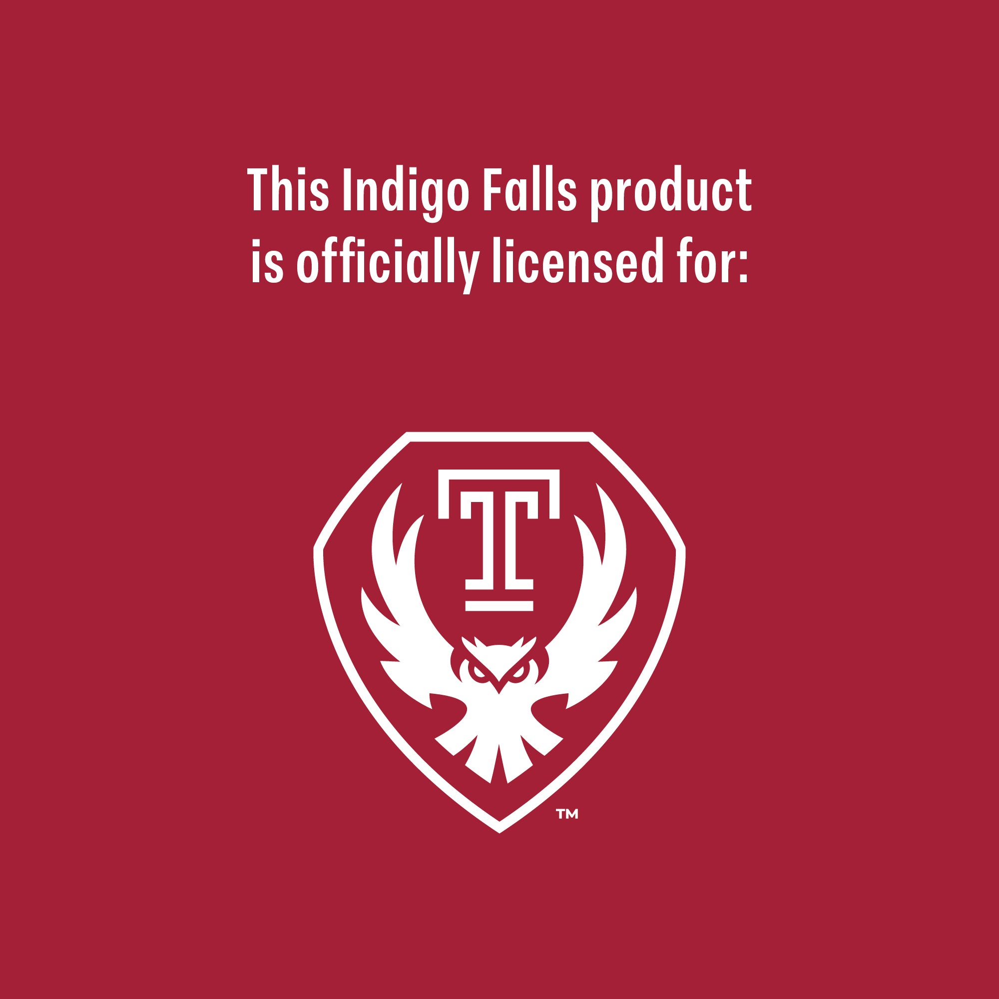 Set of 2 Temple Owls Campus Line Art 16oz Pints