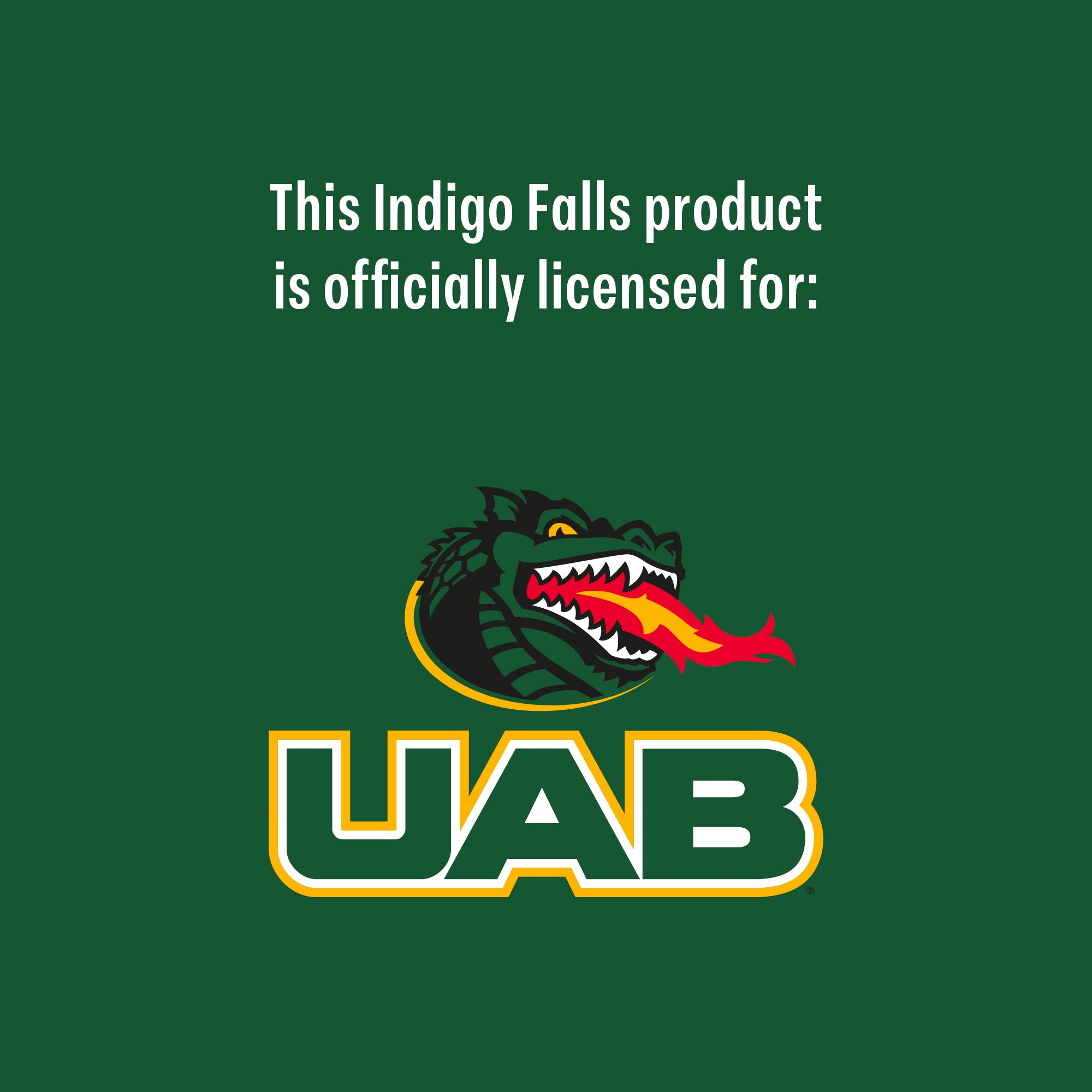 Set of 2 UAB Blazers 14oz Ring Rocks Glasses