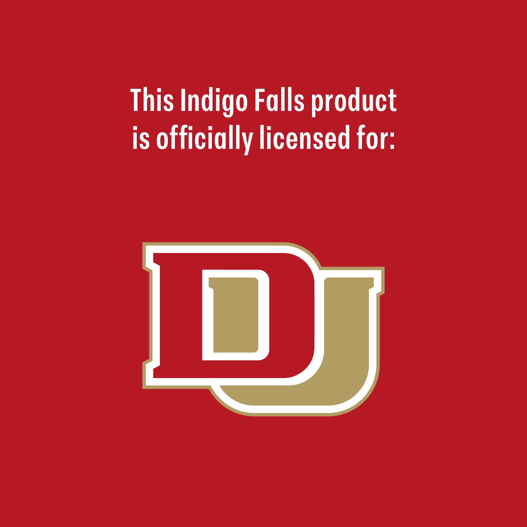 Set of 2 Denver Pioneers Campus Line Art 16oz Pints