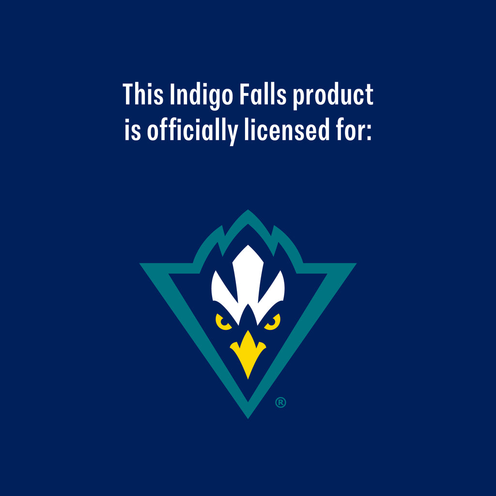 Set of 2 UNC Wilmington 14oz Alumni Rocks Glasses
