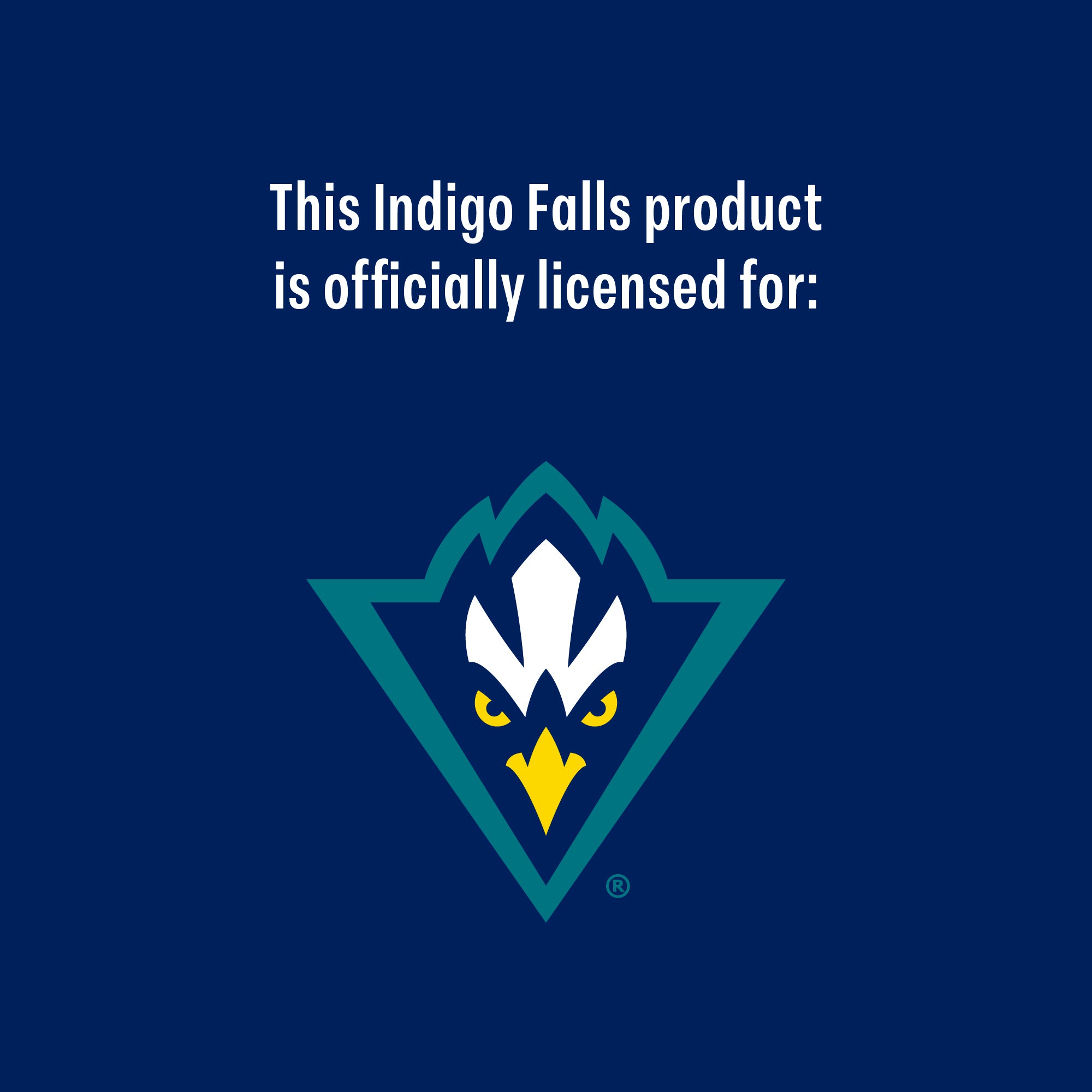 Set of 2 UNC Wilmington 14oz Alumni Rocks Glasses