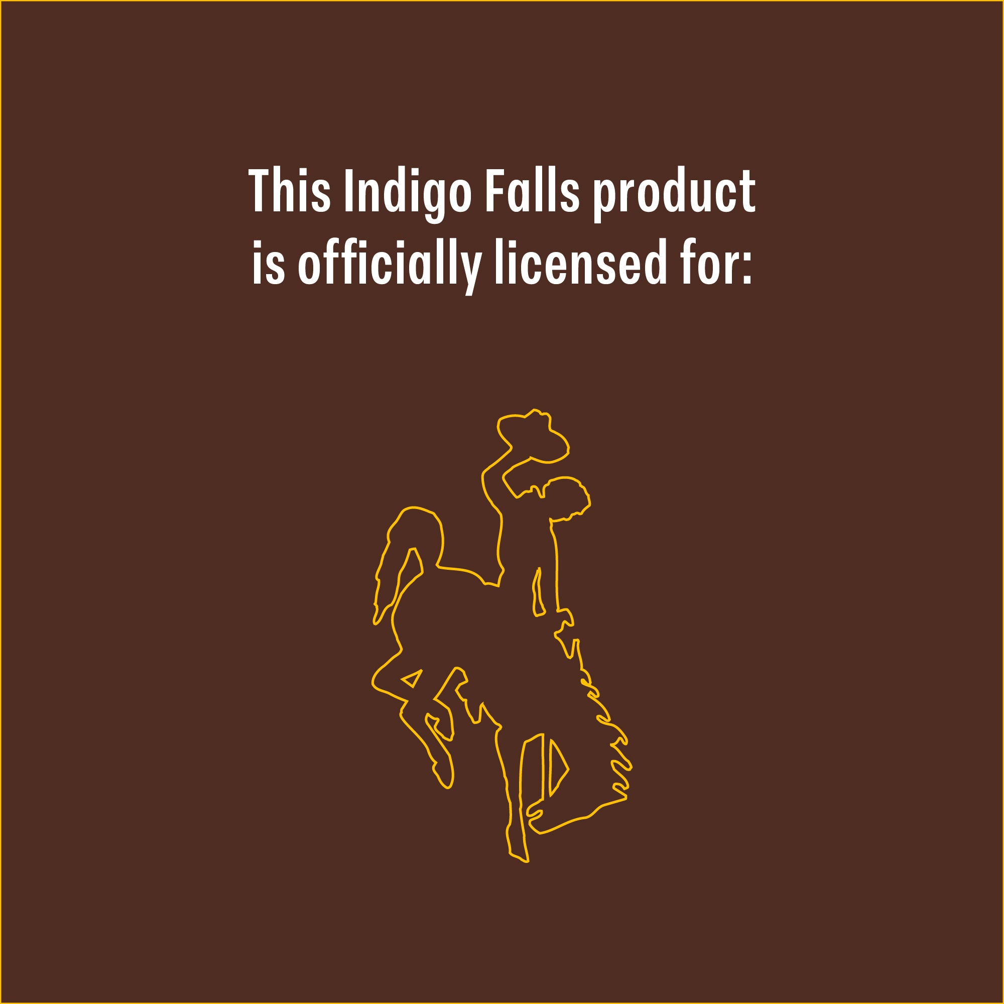 48oz Wyoming Cowboys and Cowgirls Combo Tumbler